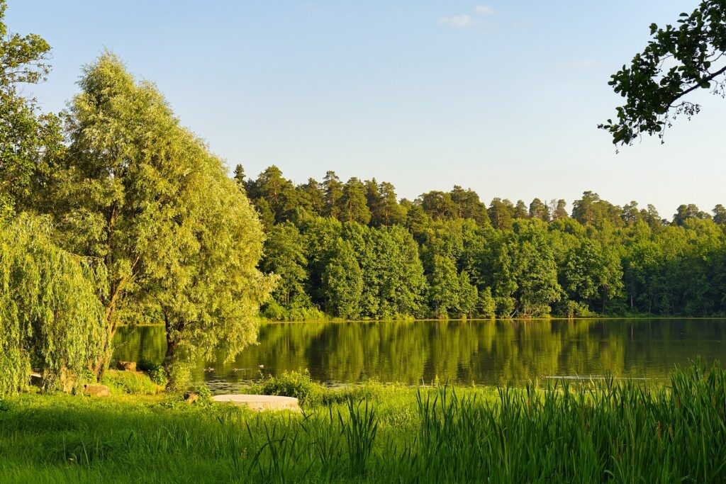 Raifa Monastery and lake
